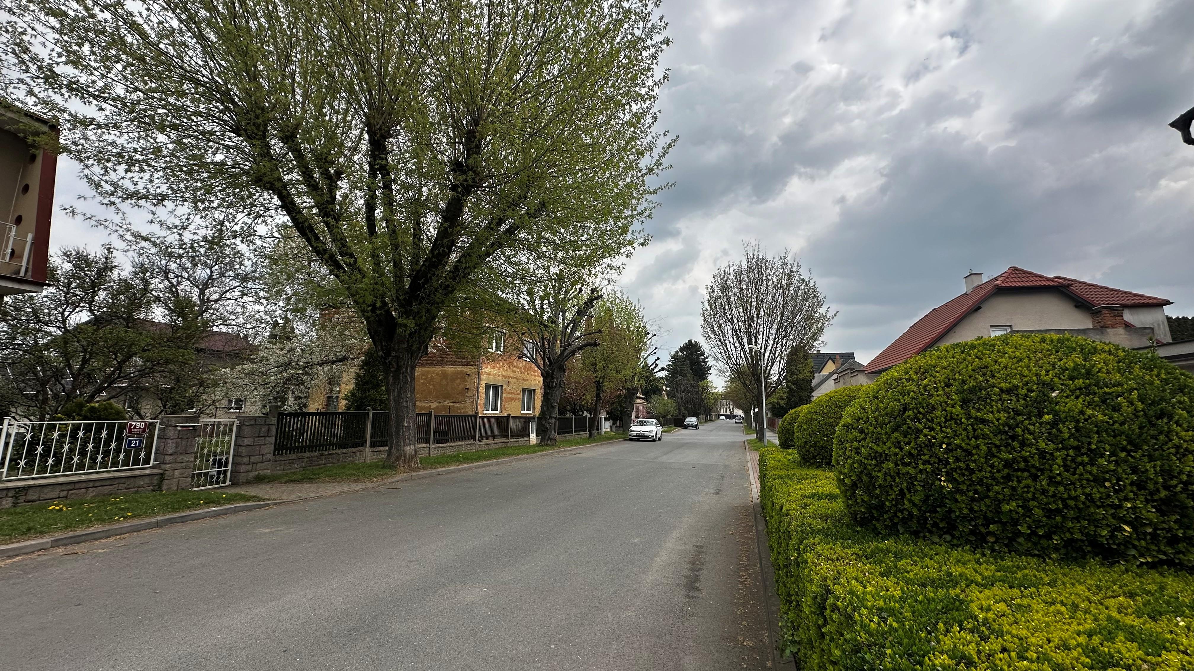 Zakl&aacute;d&aacute;n&iacute; a obnova veřejn&eacute; s&iacute;deln&iacute; zeleně v ulici Třtinov&aacute;